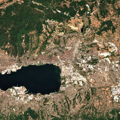 Sentinel-2 satellite image of Kocaeli (Izmit) on 2025-07-22
