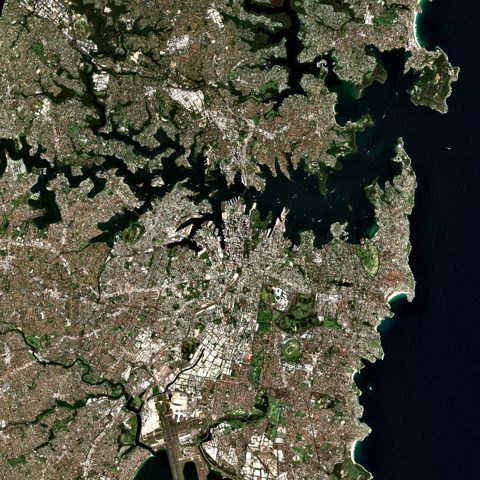 Sentinel-2 satellite image of Sydney on 2025-01-14